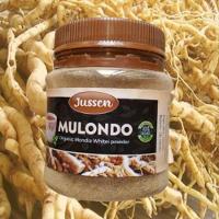 Mens Clinic International | Mulondo Bazuka Roots for Male Enhancement +27787609980